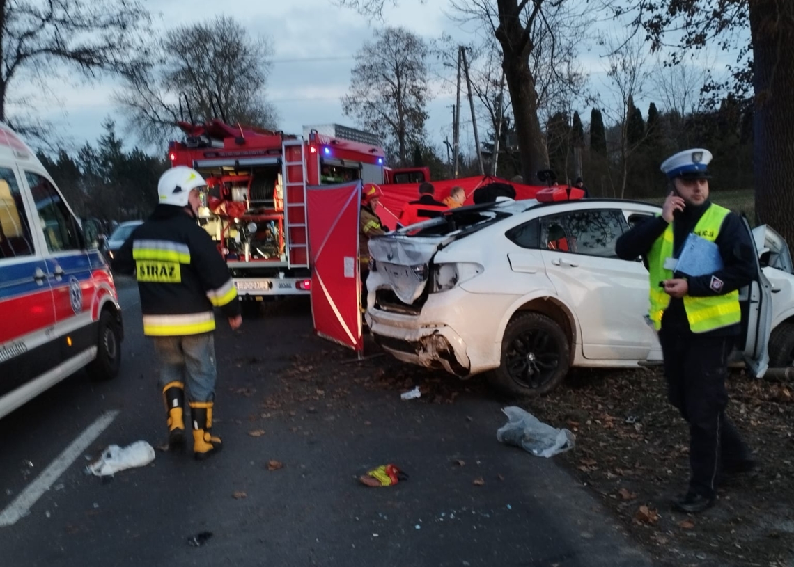 Śmiertelny wypadek na 72 w powiecie poddębickim 1 Wypadek Złotniki. Foto. PSP
