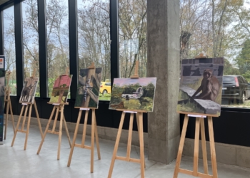 "Co oni zmalowali". Obrazy z mieszkańcami łódzkiego zoo stworzone przez uczniów jednego z liceów