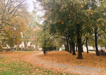Jesień