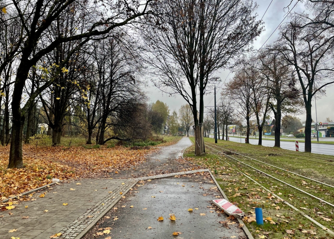 Modernizacja torowiska na ul. Strykowskiej. Trasa w połowie gotowa