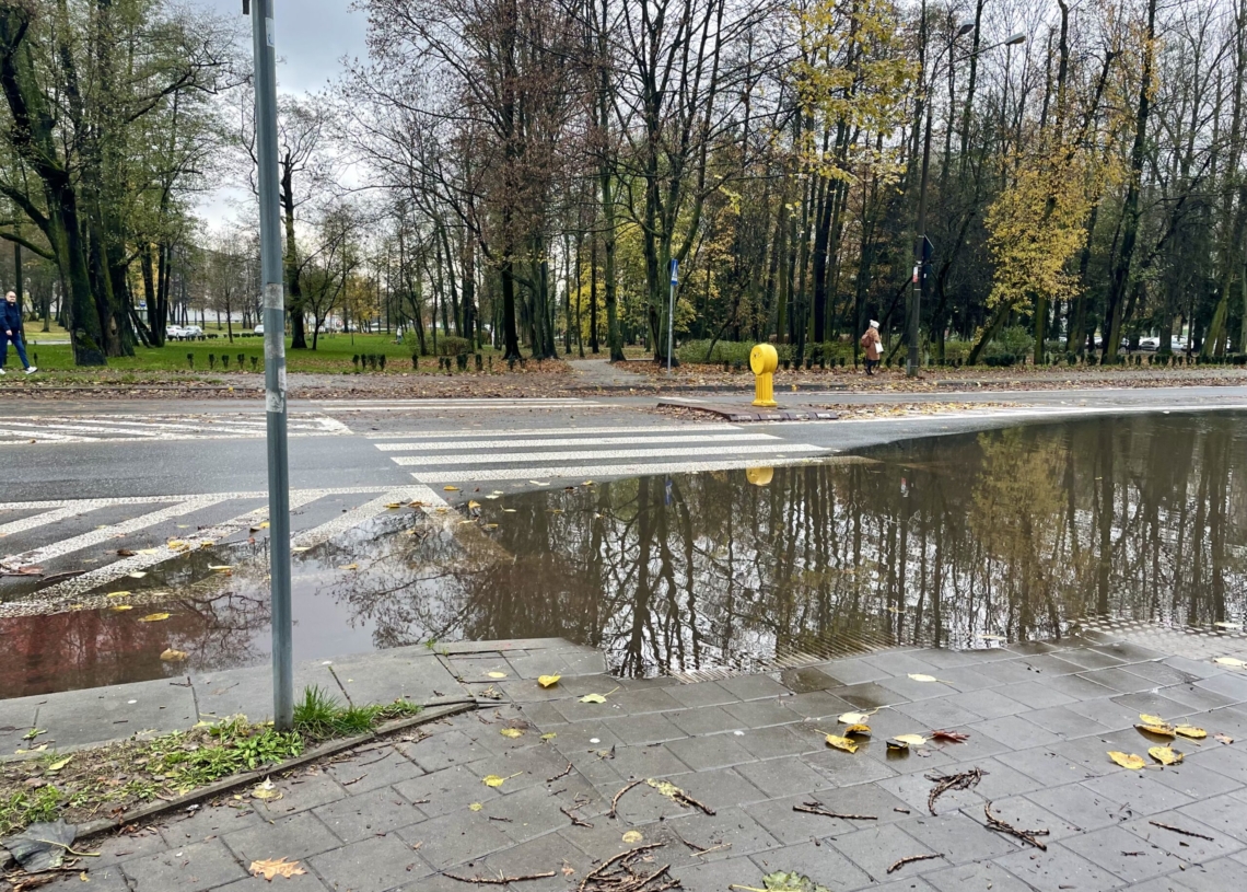 Ogromne rozlewisko na Teofilowie. Zalana część ulicy Lnianej