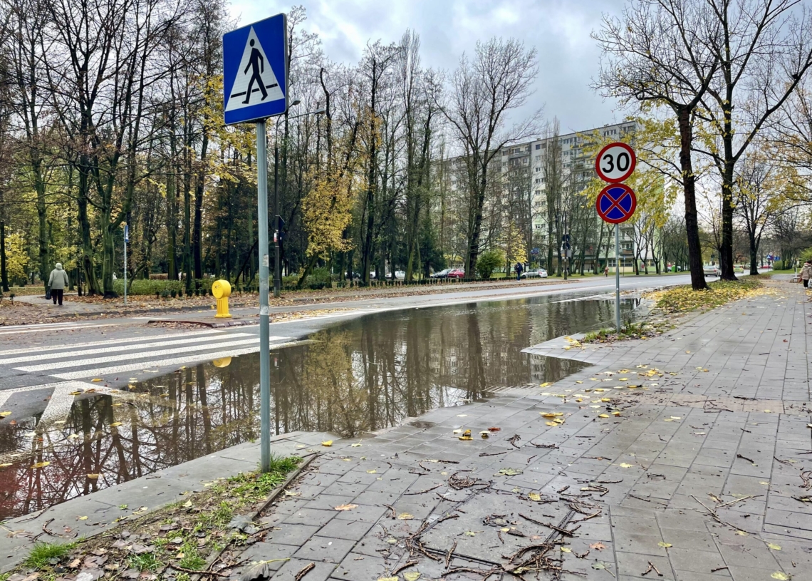 Ogromne rozlewisko na Teofilowie. Zalana część ulicy Lnianej