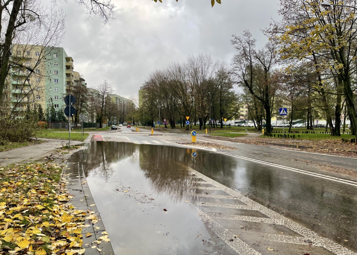 Ogromne rozlewisko na Teofilowie. Zalana część ulicy Lnianej