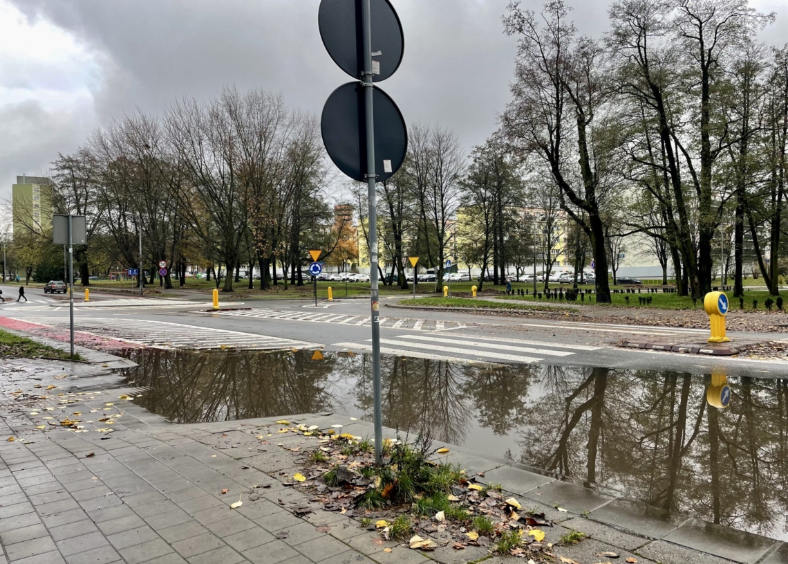 Ogromne rozlewisko na Teofilowie. Zalana część ulicy Lnianej