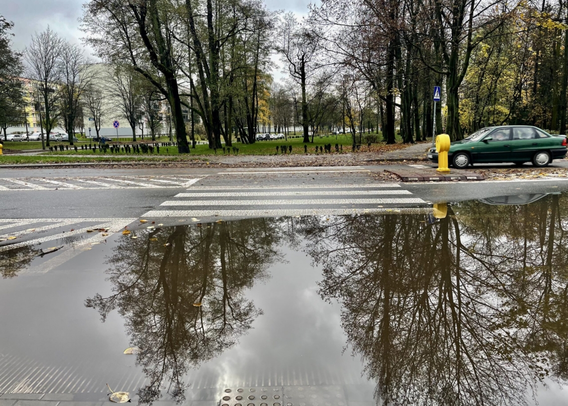 Ogromne rozlewisko na Teofilowie. Zalana część ulicy Lnianej