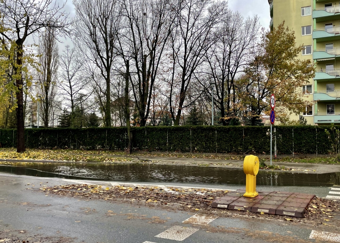 Ogromne rozlewisko na Teofilowie. Zalana część ulicy Lnianej