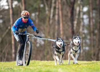 Ines Husky Team. Foto - Zuzanna Pająk Sleddogsport & Photography