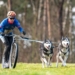 Ines Husky Team. Foto - Zuzanna Pająk Sleddogsport & Photography