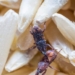 Owady w produktach spożywczych. Biolodzy ostrzegają 5 Owady w produktach spożywczych. Biolodzy ostrzegają