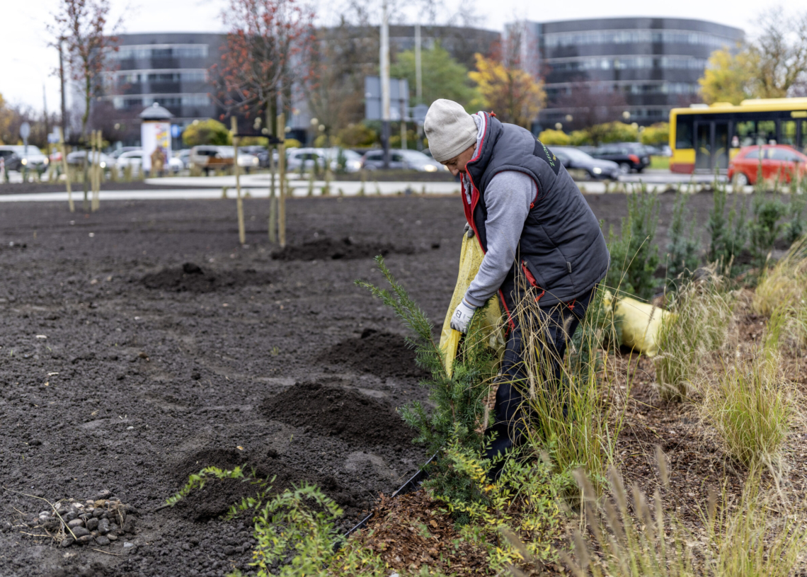 Przy Rondzie Solidarności powstał nowy skwer. To projekt zrealizowany dzięki Ekopaktowi