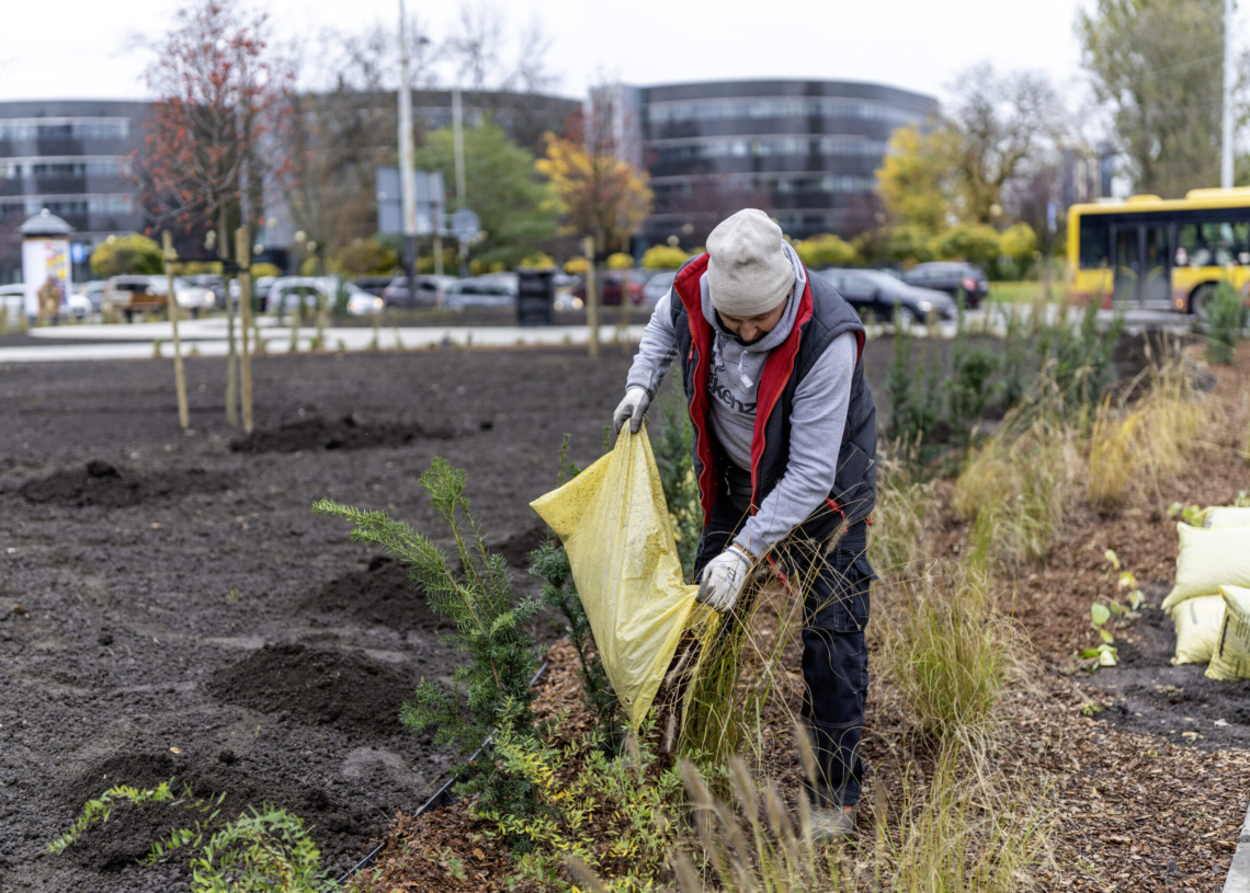 Przy Rondzie Solidarności powstał nowy skwer. To projekt zrealizowany dzięki Ekopaktowi
