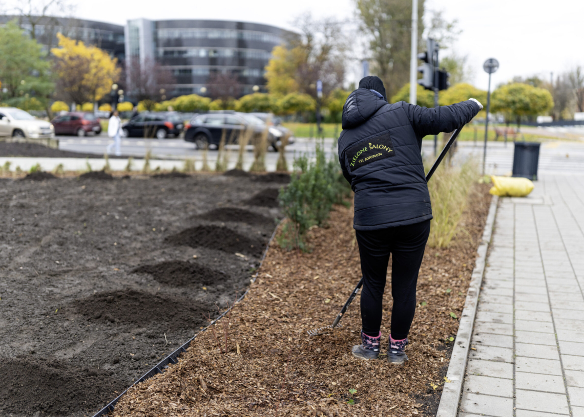 Przy Rondzie Solidarności powstał nowy skwer. To projekt zrealizowany dzięki Ekopaktowi