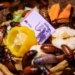 Zabierz kartę roczną karaczanom w łódzkim Orientarium