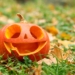 Nie wywoźcie dyń do lasu. Apel leśników po halloween 6 Nie wywoźcie dyń do lasu!