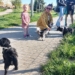 Psi wybieg w Sieradzu. Władze miasta dały inwestycji „zielone światło” 7 Psi wybieg w Sieradzu