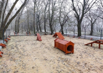 Psi park w Łęczycy