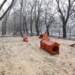 Psi park w Łęczycy. Rozpoczęto montaż urządzeń 6 Psi park w Łęczycy