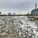 Deweloper z Wrocławia odkupił za 90 mln zł działkę w Nowym Centrum Łodzi