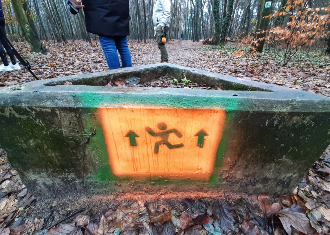 Finalizacja projektu "Run FOREST Run". Nowa ścieżka biegowa w Lesie Ruda-Popioły