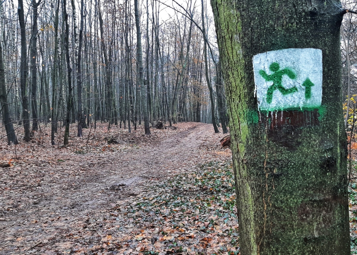 Finalizacja projektu "Run FOREST Run". Nowa ścieżka biegowa w Lesie Ruda-Popioły