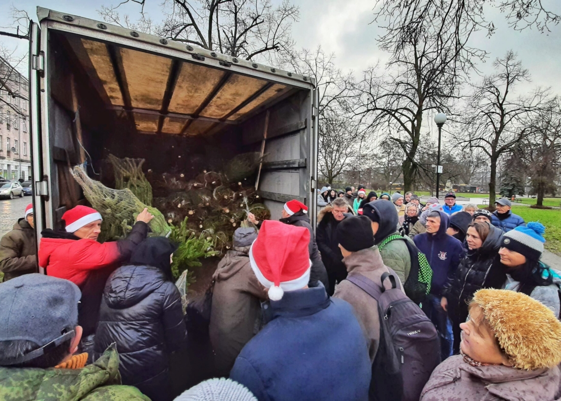 Ponad 200 bezpłatnych choinek dla łodzian od Lewicy