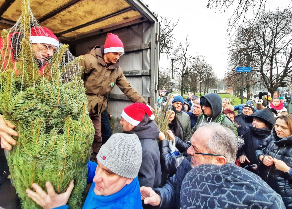 Ponad 200 bezpłatnych choinek dla łodzian od Lewicy