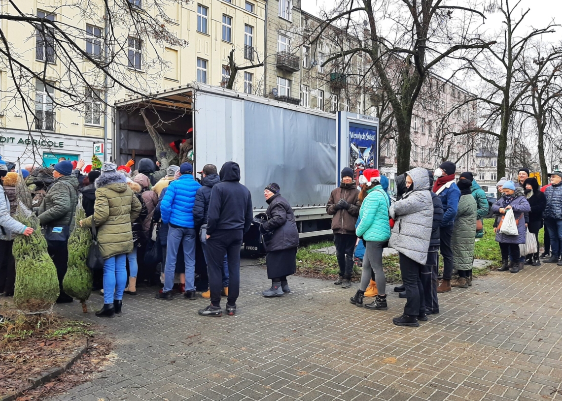 Ponad 200 bezpłatnych choinek dla łodzian od Lewicy