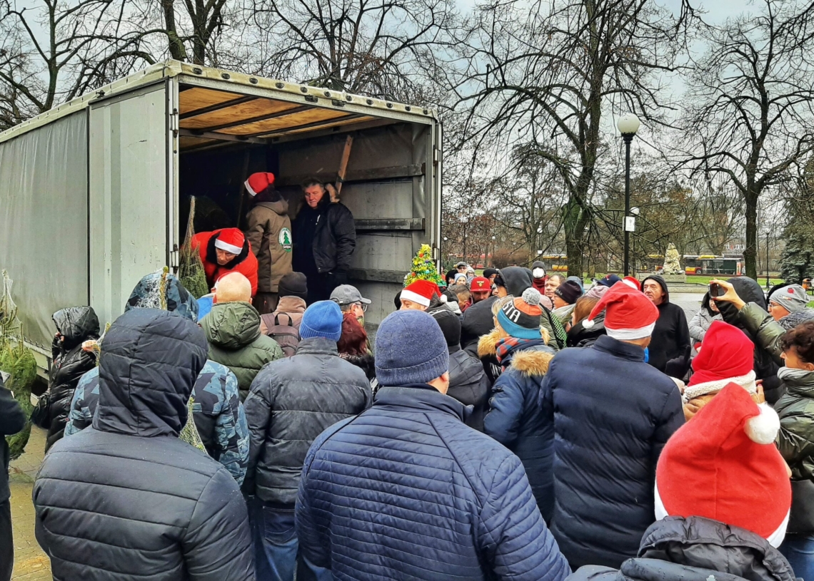 Ponad 200 bezpłatnych choinek dla łodzian od Lewicy
