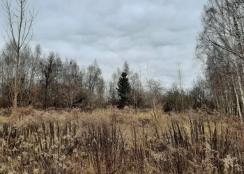 Nowy park w Łodzi. Powstanie w okolicach Lublinka