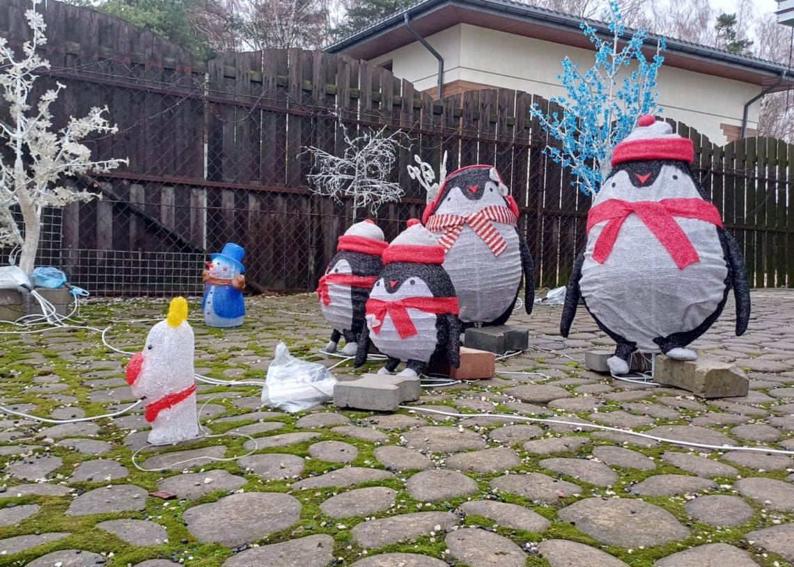Świąteczna iluminacja na jednej z posesji w Zelowie