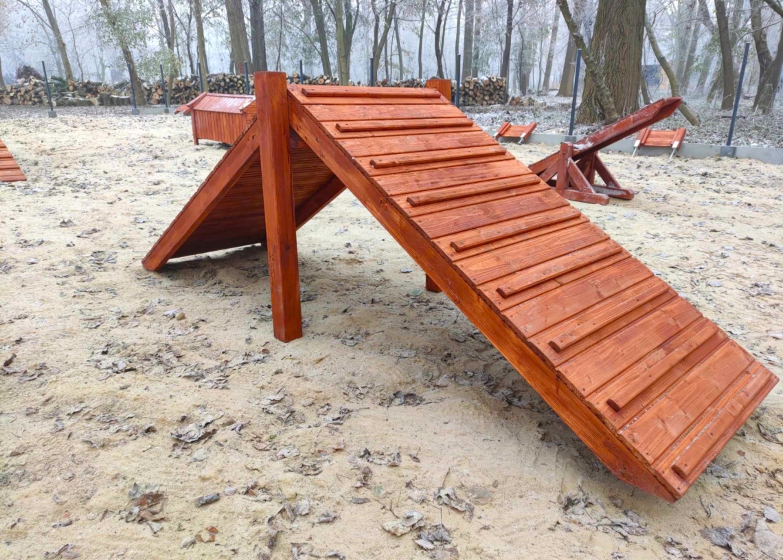 Psi park w Łęczycy