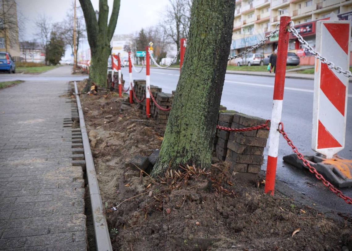 Więcej zieleni w Kutnie. Kolejna ulica zyska nowy wizerunek