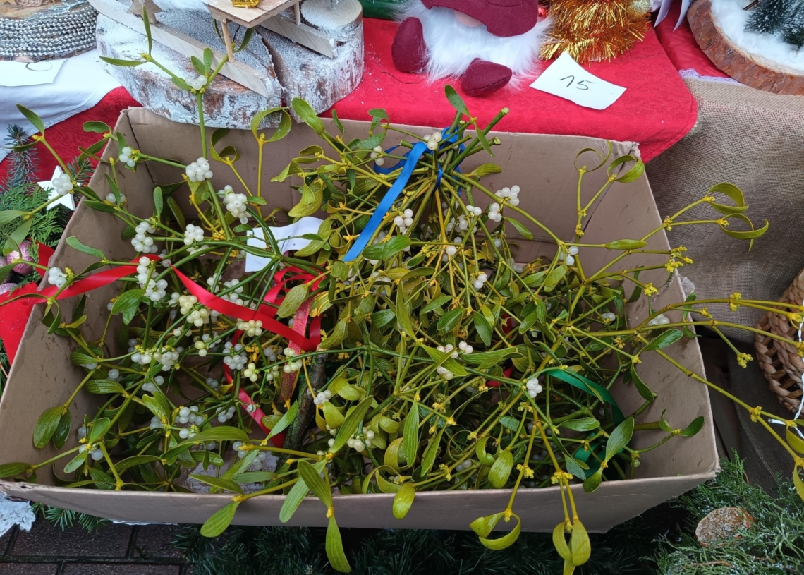Jarmark Bożonarodzeniowy w Warcie