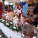 Jarmark Bożonarodzeniowy w Warcie