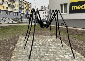Pająk w centrum Pajęczna