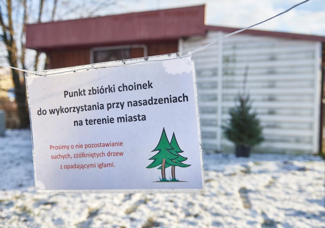 Trzy placówki będą przyjmować choinki od 8 stycznia