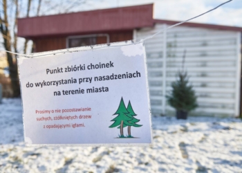 Trzy placówki będą przyjmować choinki od 8 stycznia