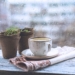 Chłodna środa w Łódzkiem, może padać. Sprawdź pogodę na 13 grudnia 7 Chłodna środa w Łódzkiem