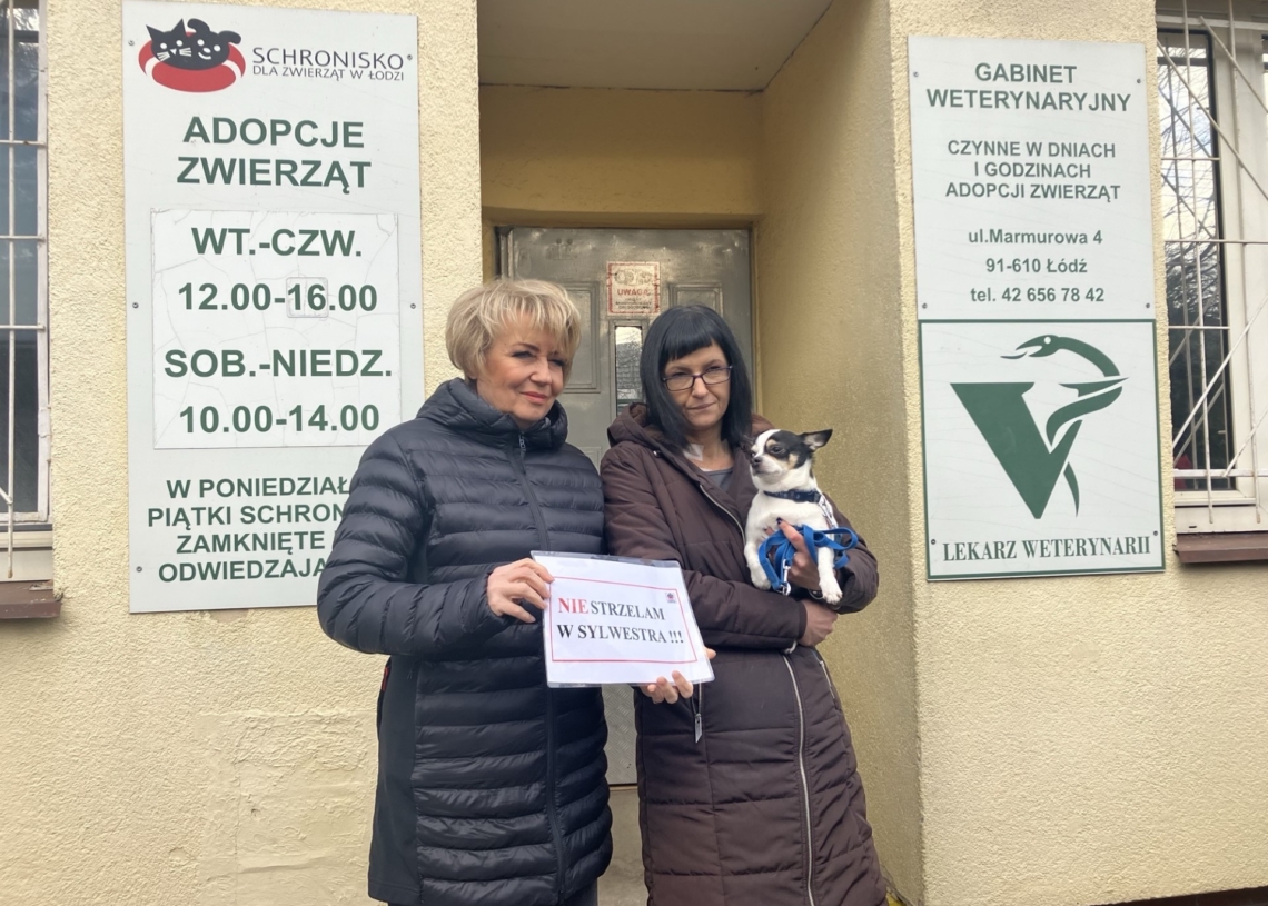 Nie strzelaj w sylwestra