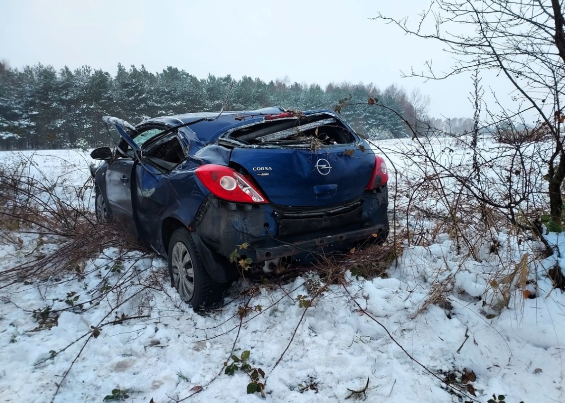 Uderzyła w drzewo, chciała ominąć sarnę. Wypadek na DW480 w gminie Widawa