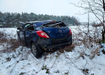 Uderzyła w drzewo, chciała ominąć sarnę. Wypadek na DW480 w gminie Widawa