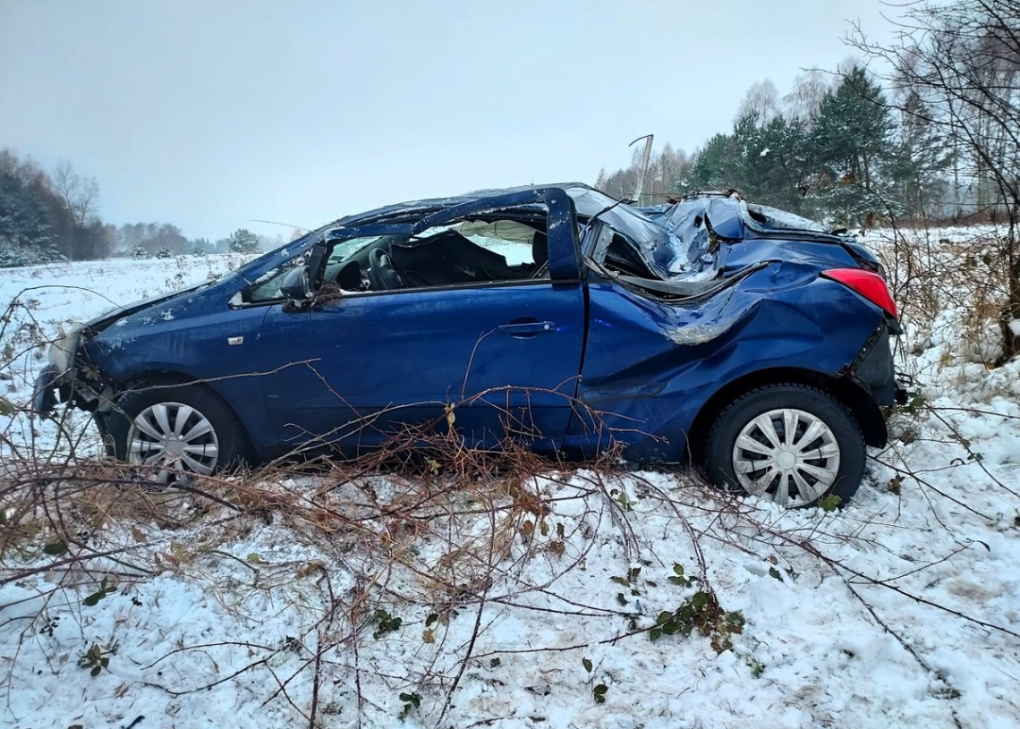 Uderzyła w drzewo, chciała ominąć sarnę. Wypadek na DW480 w gminie Widawa