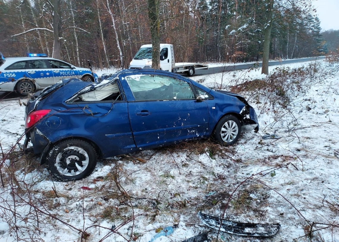 Uderzyła w drzewo, chciała ominąć sarnę. Wypadek na DW480 w gminie Widawa