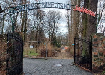 Trwa rewitalizacja Parku Solidarność w Tomaszowie Mazowieckim