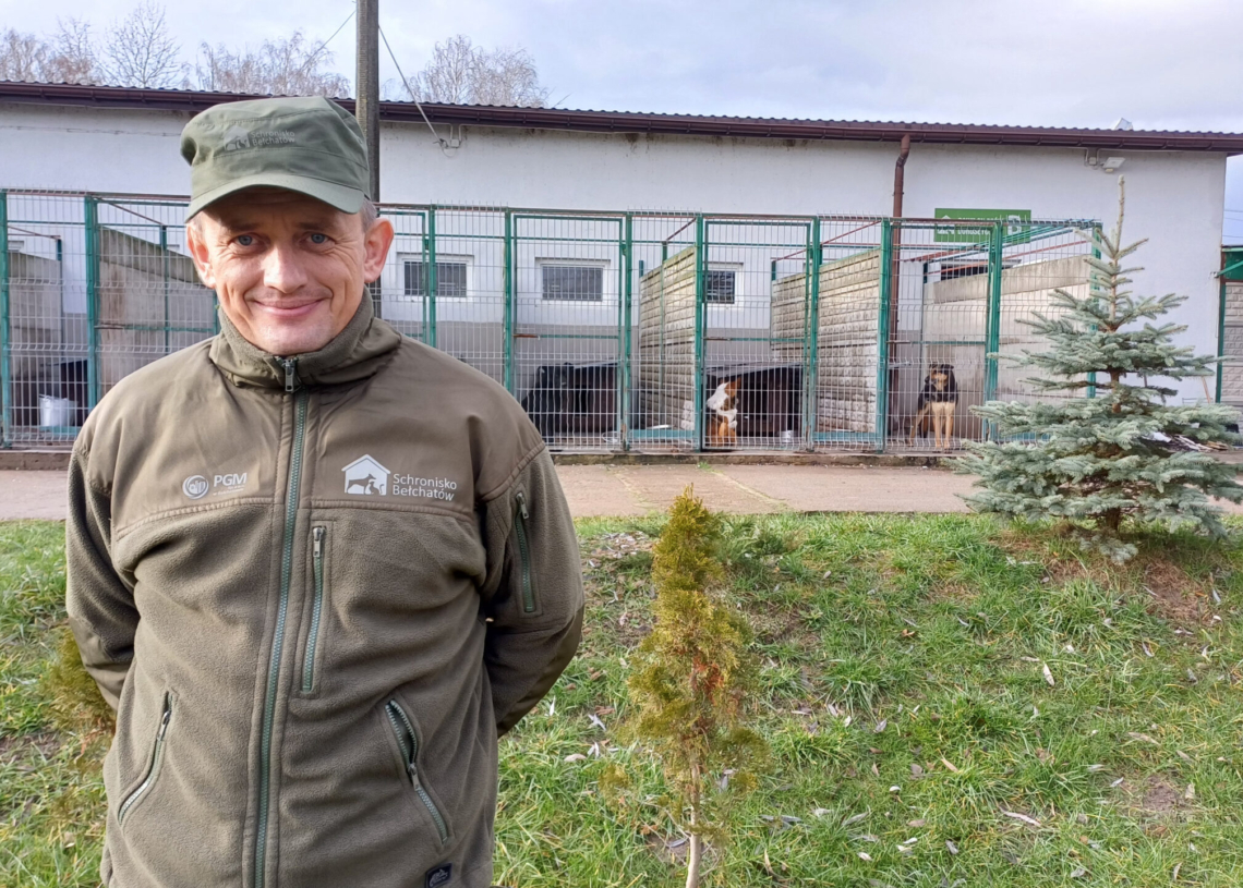 "PSYgarniemy choinki". Akcja bełchatowskiego schroniska
