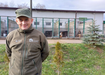 "PSYgarniemy choinki". Akcja bełchatowskiego schroniska