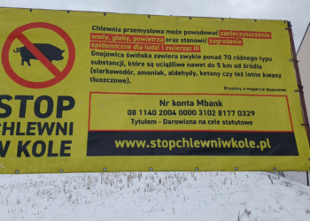 Budowa chlewni w Kole w powiecie piotrkowskim. Wyłożony został raport oddziaływania na środowisko
