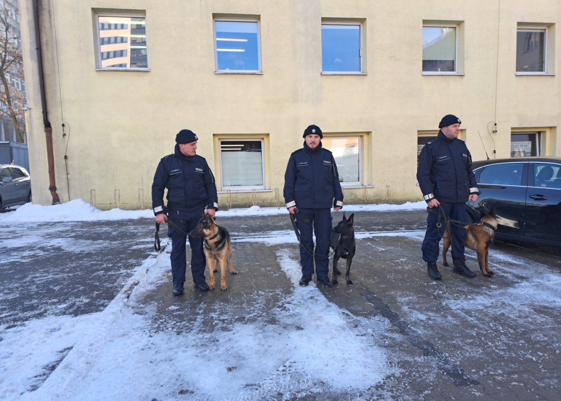 Cztery nieoznakowane radiowozy i cztery owczarki trafiły do Komendy Miejskiej Policji w Łodzi