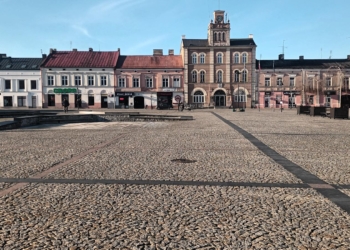 Czy Skierniewice doczekają się zielonego rynku?