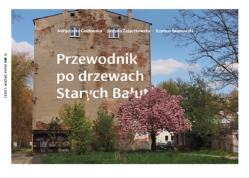 Przewodnik po drzewach Starych Bałut